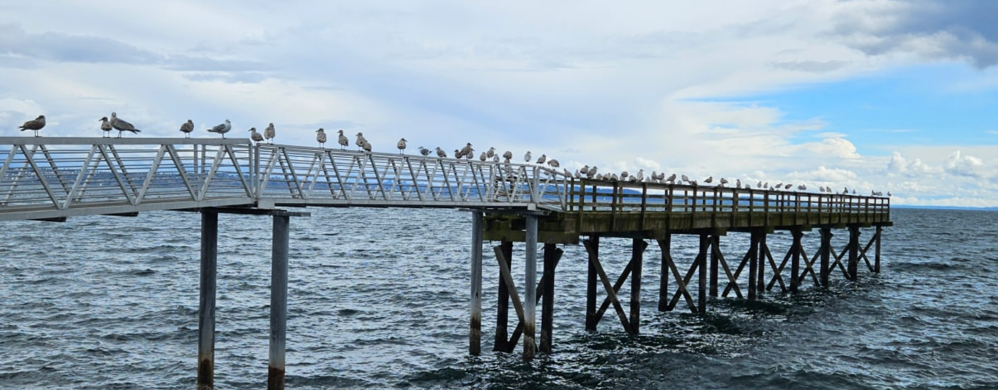 jefferson-beach-estates-slider-02